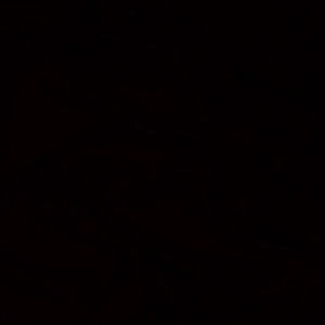 Meet your Posher, Skye